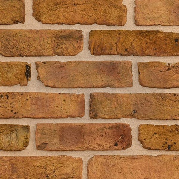 Golden-Yellow Bruised London Stock Dual Faced Brick SAMPLE PANEL